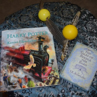 hallo23_potter_wiad_18