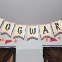 hallo23_potter_wiad_28