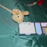 hallo23_potter_wiad_33