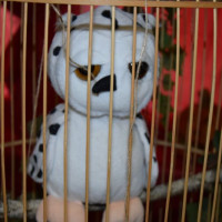hallo23_potter_wiad_36