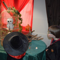 hallo23_potter_wiad_86
